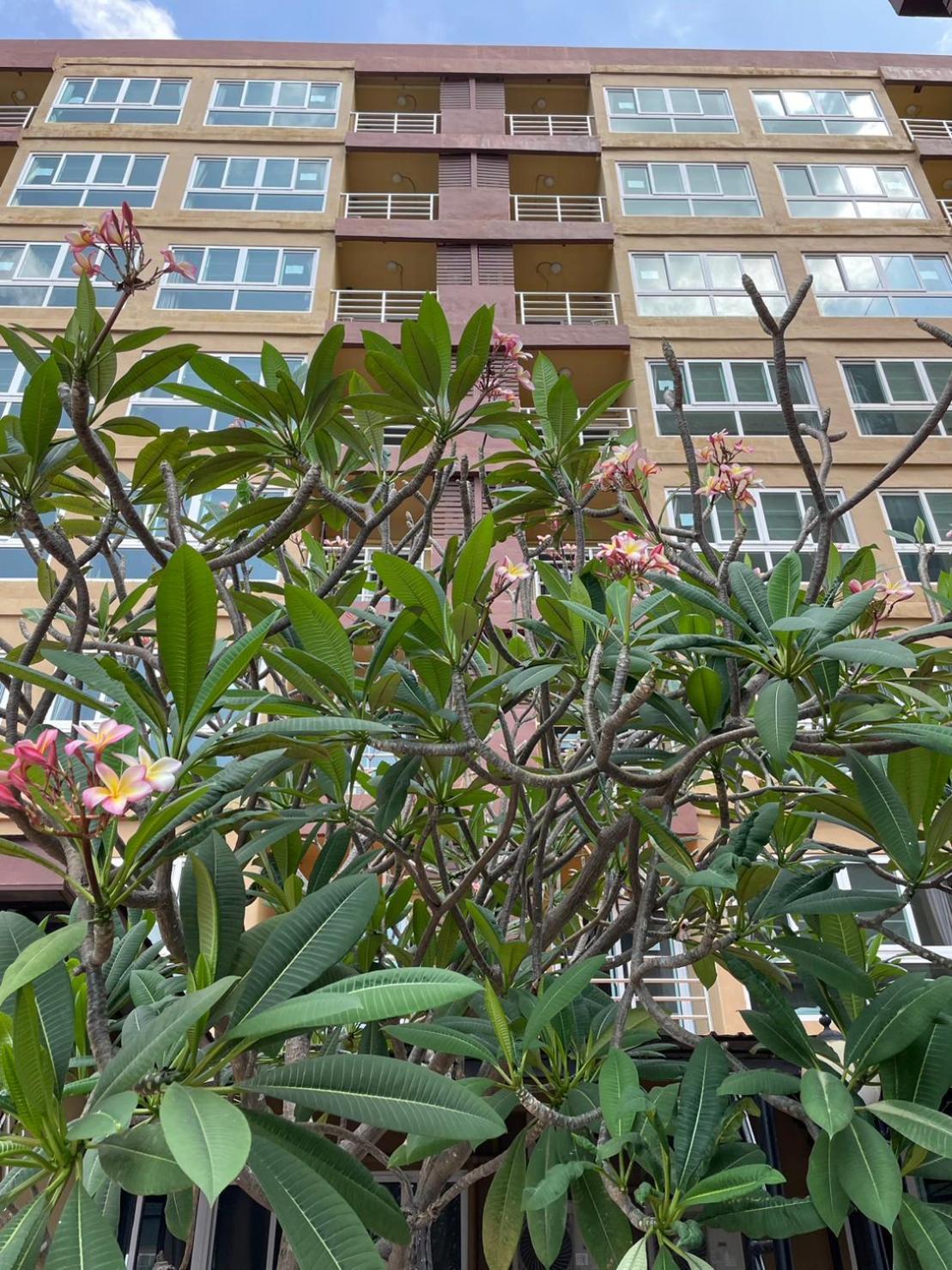 H2Do Hotel Ban Khlong Sanam Phli Exterior photo